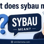 What Does SYBAU Mean